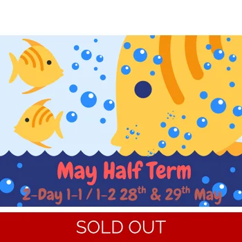 2-Day 1-1/1-2 May Half Term